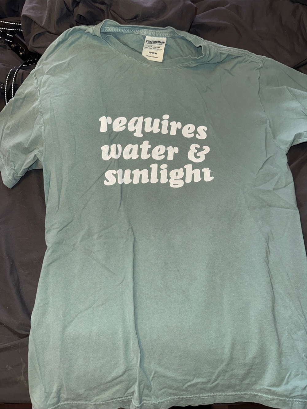 ComfortWash Seafoam Green 'requires water & sunlight' Graphic Tee
